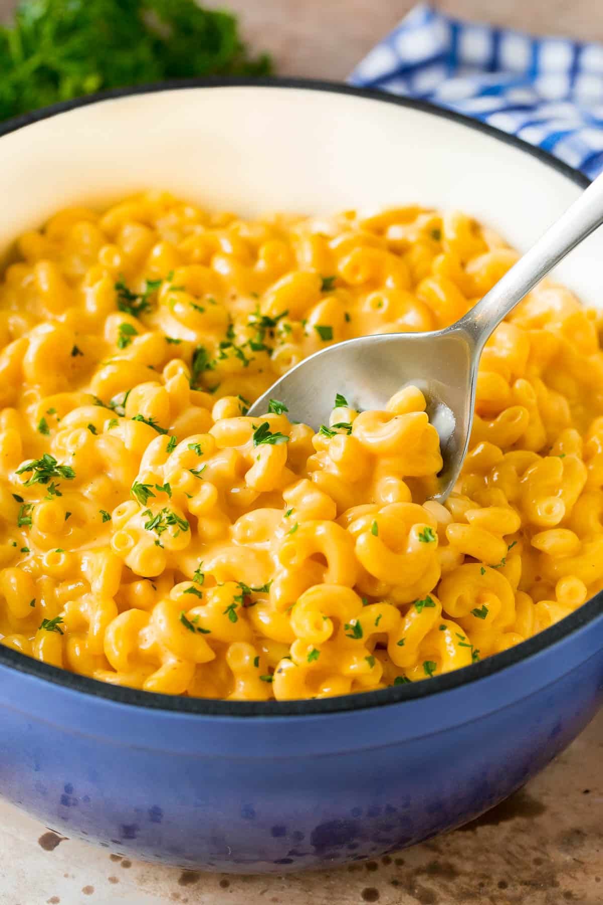Homemade Stovetop Macaroni and Cheese