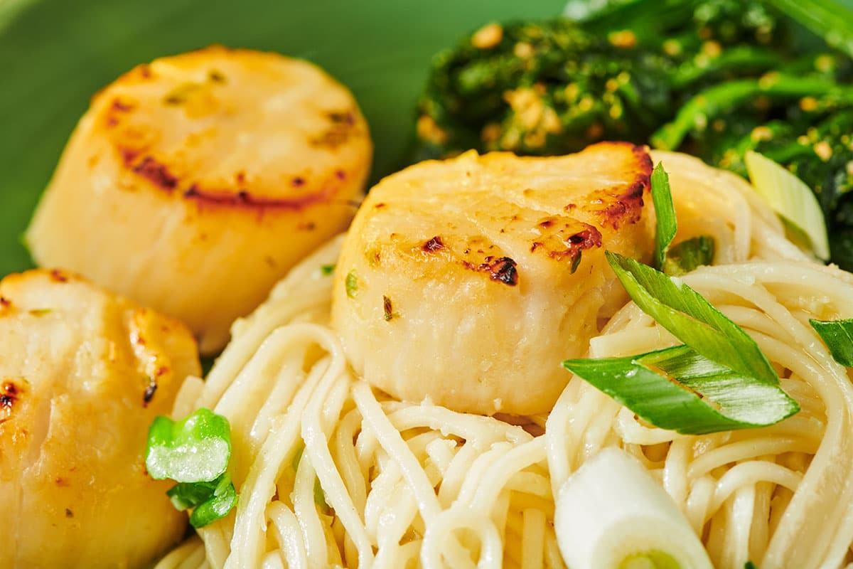 Savory Sea Scallops and Angel Hair Pasta