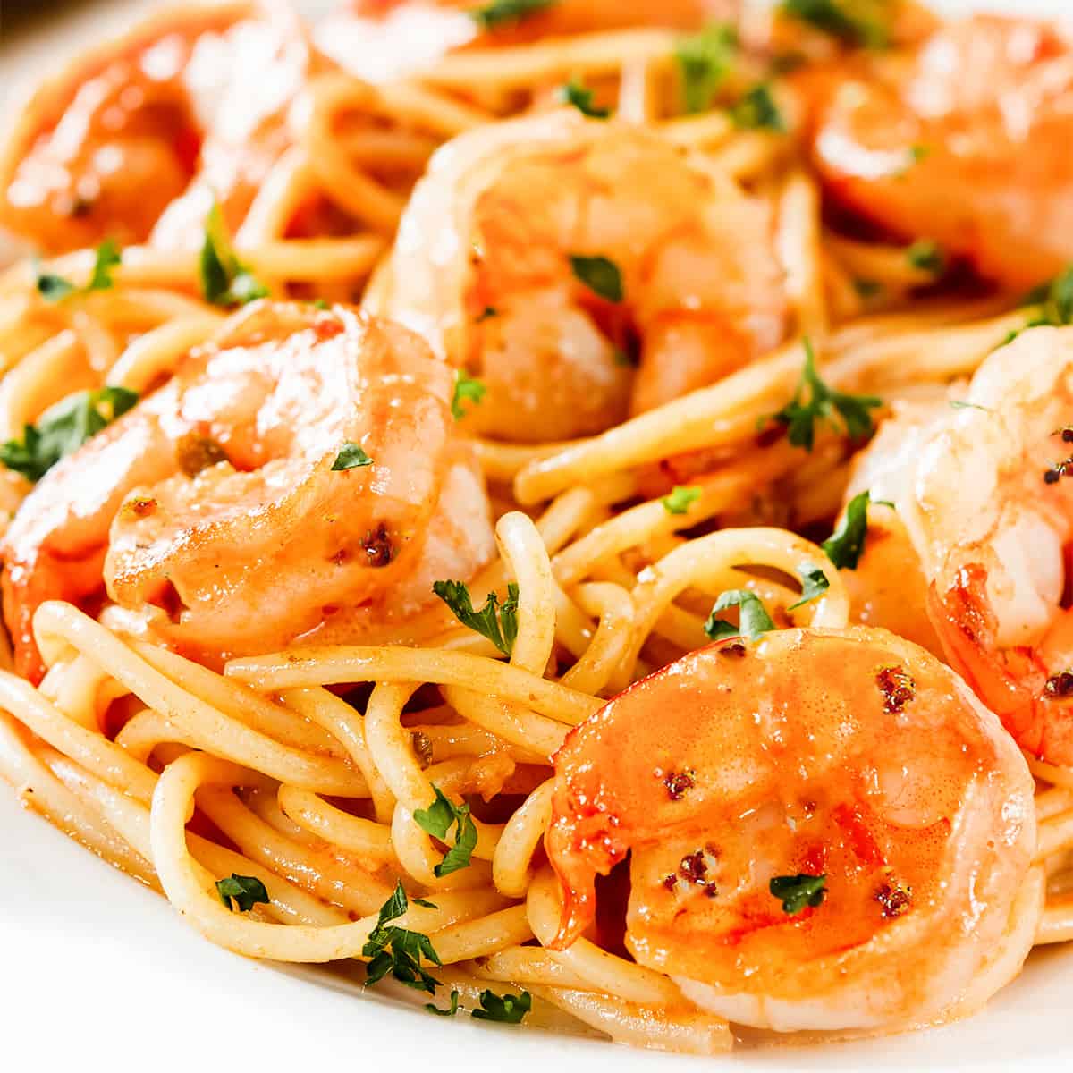 Fresh Tomato Shrimp Pasta